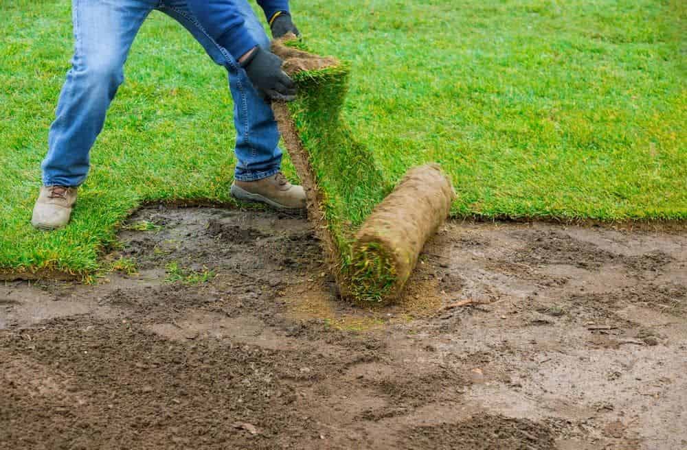 Fertilization & Weed Control image