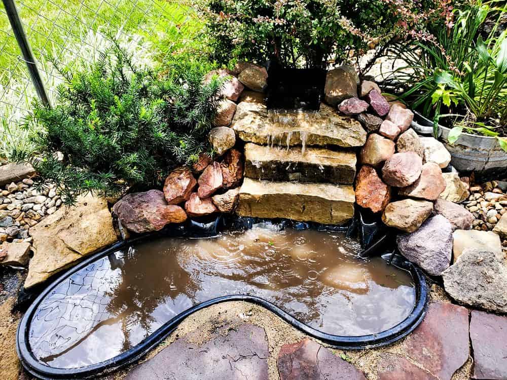 Backyard Pond Services image