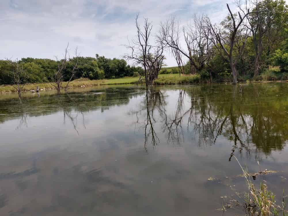 Pond & Lake Management Solutions image