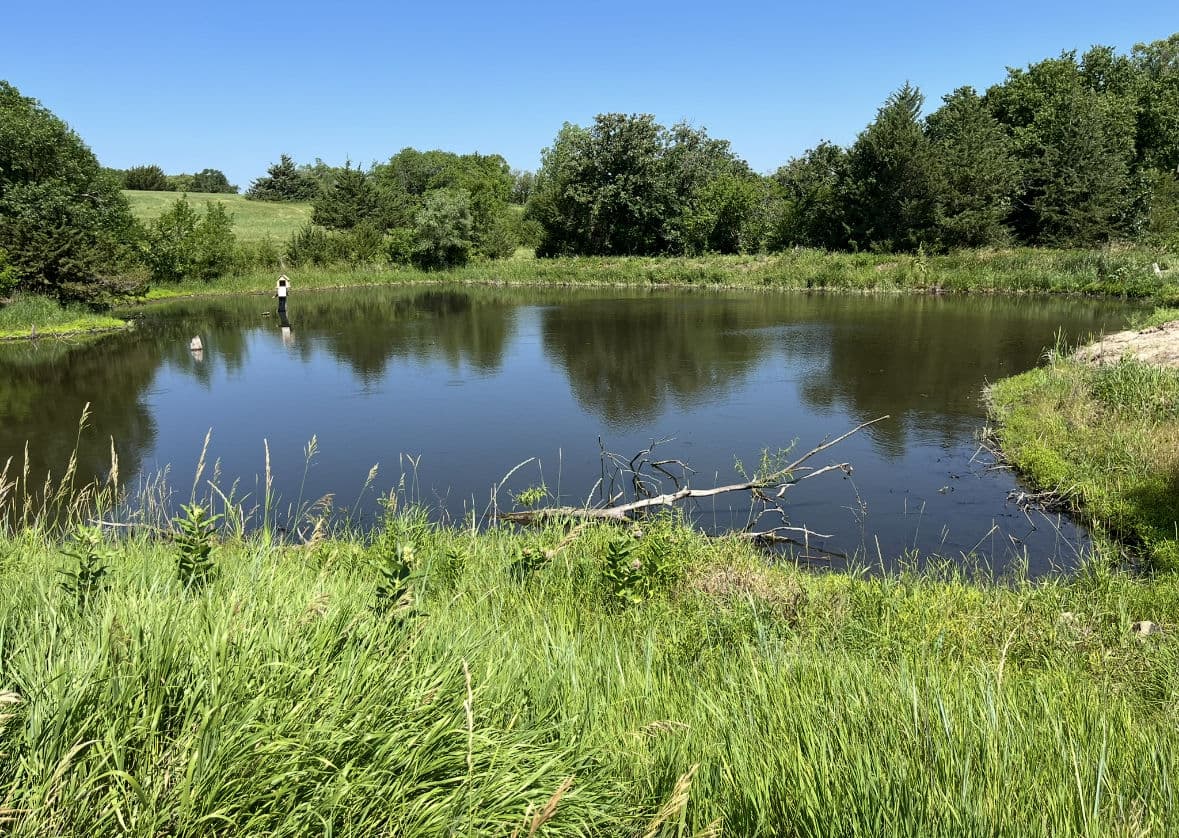 Person fishing by a serene pond surrounded by lush greenery under a clear blue sky.