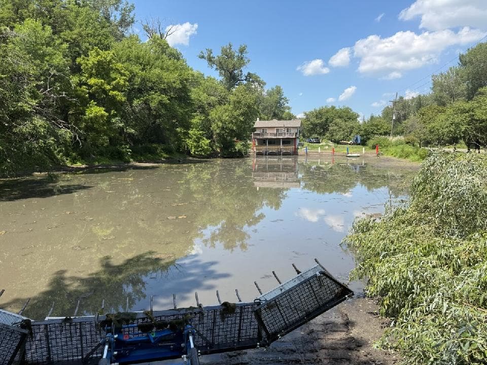 Project When Algae Takes Over Your Pond We Step In image