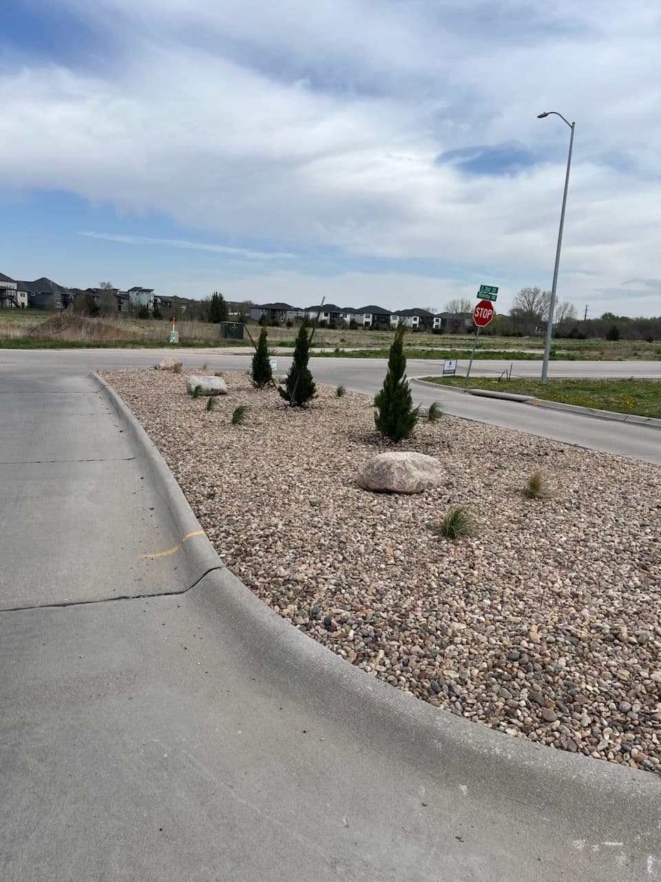 Fresh Plant Installation and yard repairs in Lincoln Nebraska image