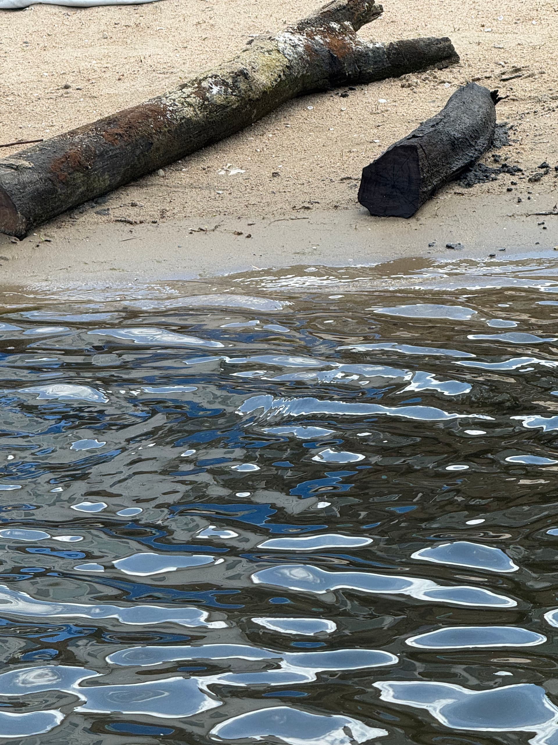 Gallery photos for Submerged Log Removal and Underwater Cleanup Near Waterloo: Image #2