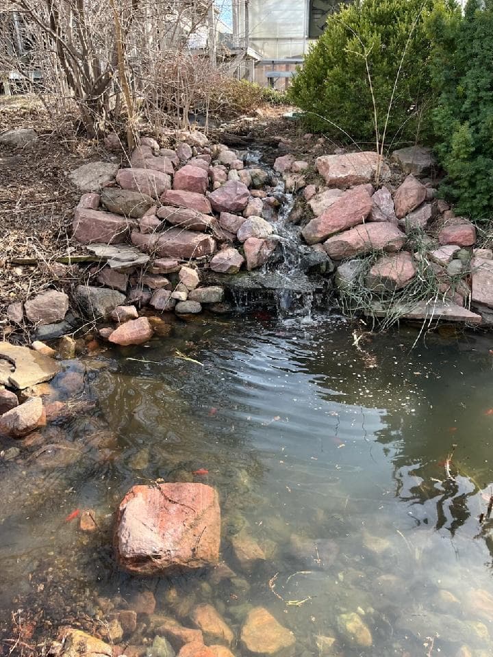 Gallery photos for Spring Pond Refresh in Lincoln: Image #1