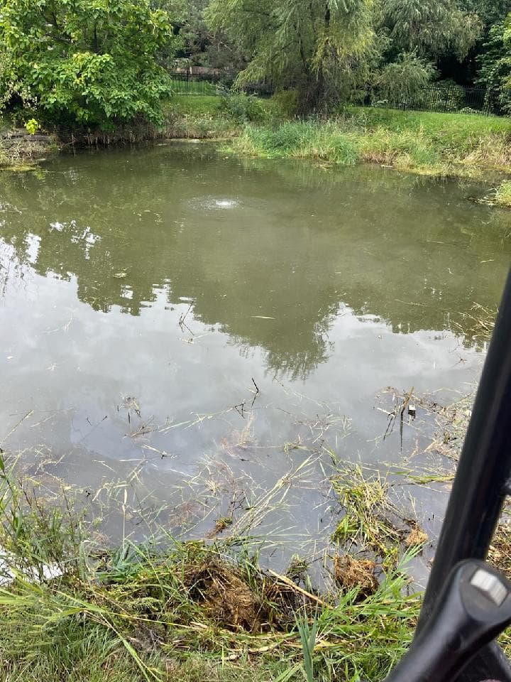 Gallery photos for Aquatic Plant Removal for a Pristine Nebraskan Pond: Image #2