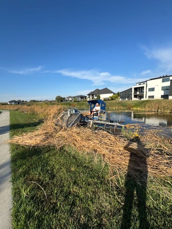 Cattail Removal in Nebraska image