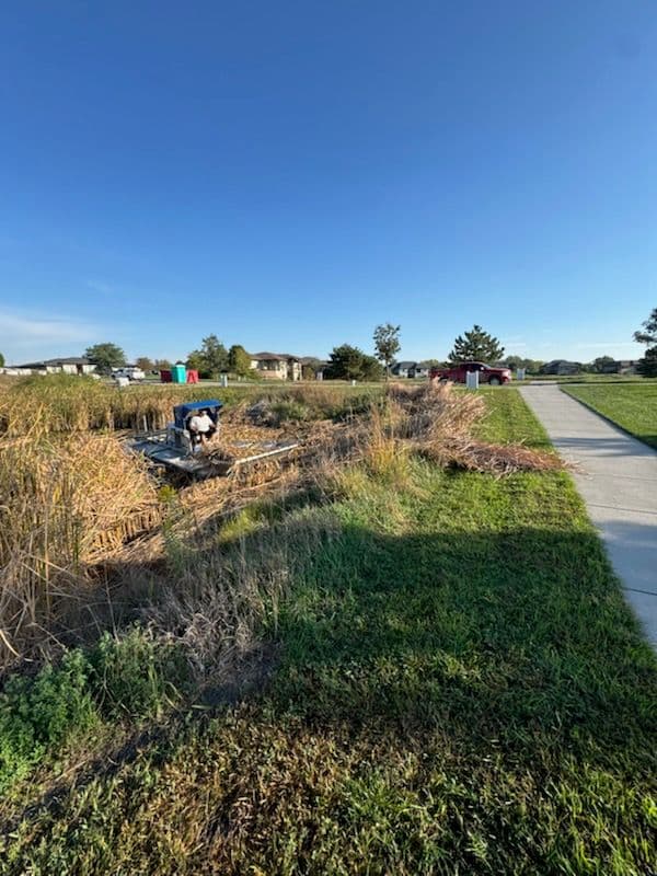 Gallery photos for Cattail Removal in Nebraska: Image #1