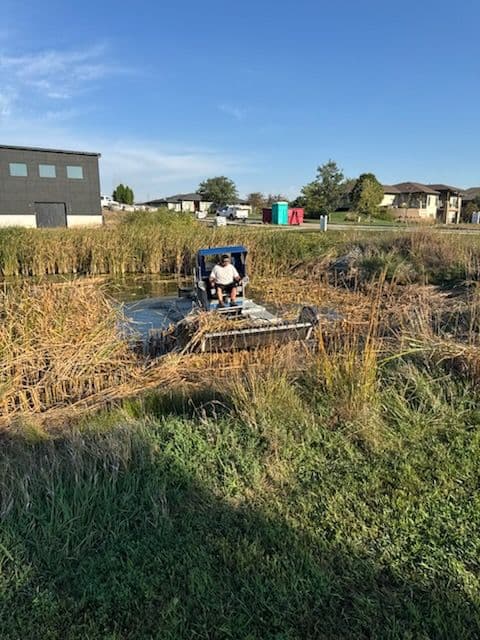 Gallery photos for Cattail Removal in Nebraska: Image #2