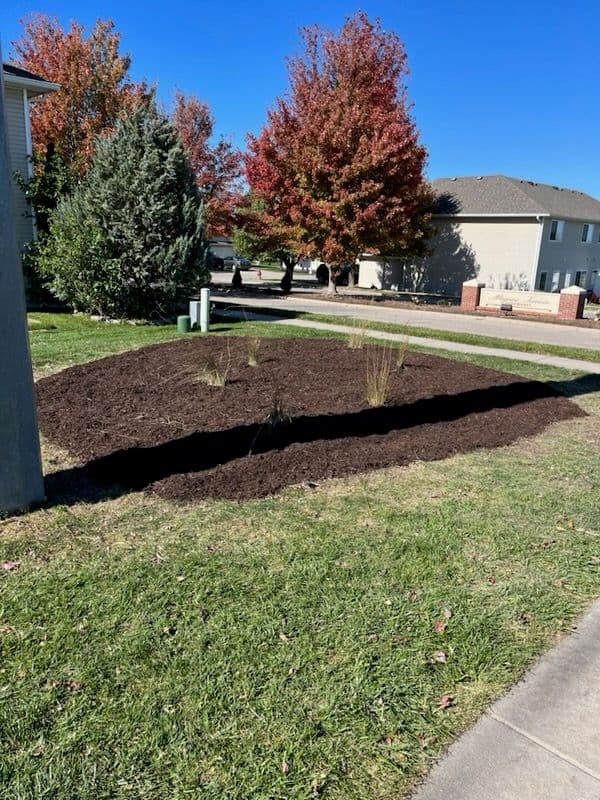 Project Transforming Autumn Landscapes in Lincoln image