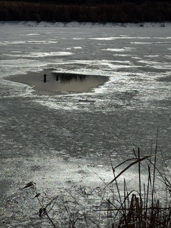 Underwater Intake Installation in Vermillion