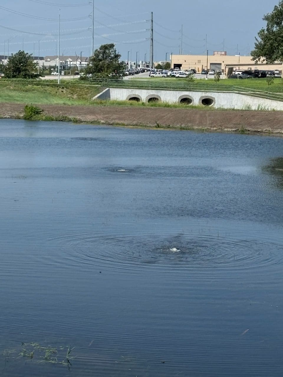 Transforming Pond Health with Advanced Aeration