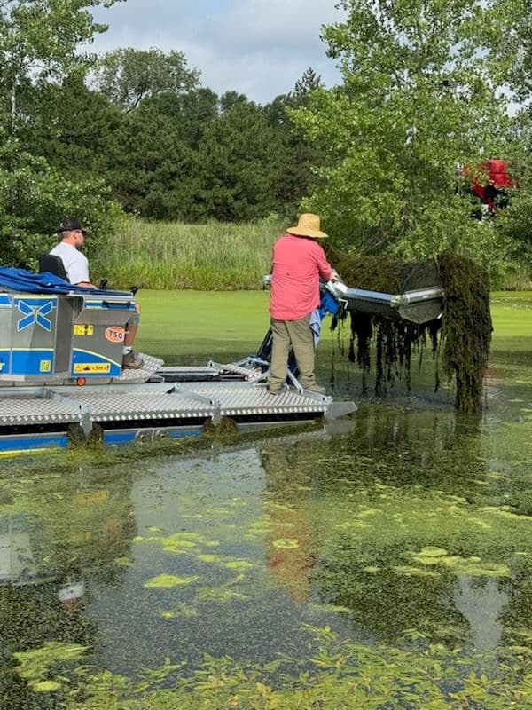Gallery photos for Aquatic Weed Removal with Eco-Friendly Equipment: Image #2