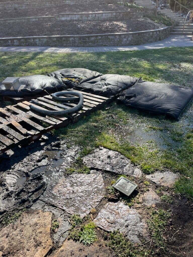 Gallery photos for Pond Cleanup at Sunken Gardens in Lincoln: Image #2