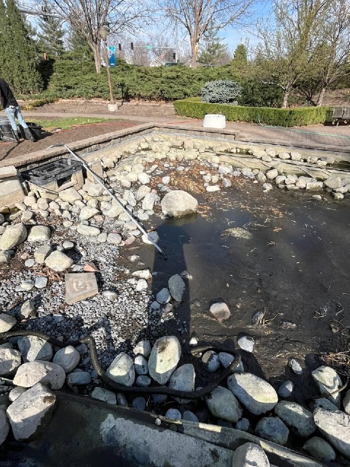 Gallery photos for Pond Cleanup at Sunken Gardens in Lincoln: Image #3