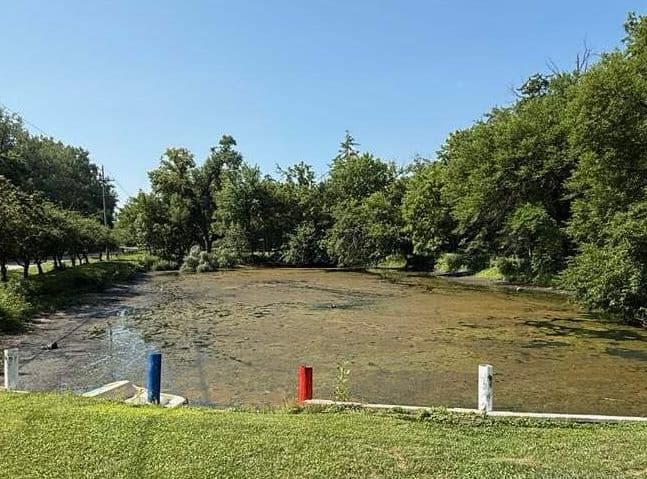 Gallery photos for When Algae Takes Over Your Pond We Step In: Image #1