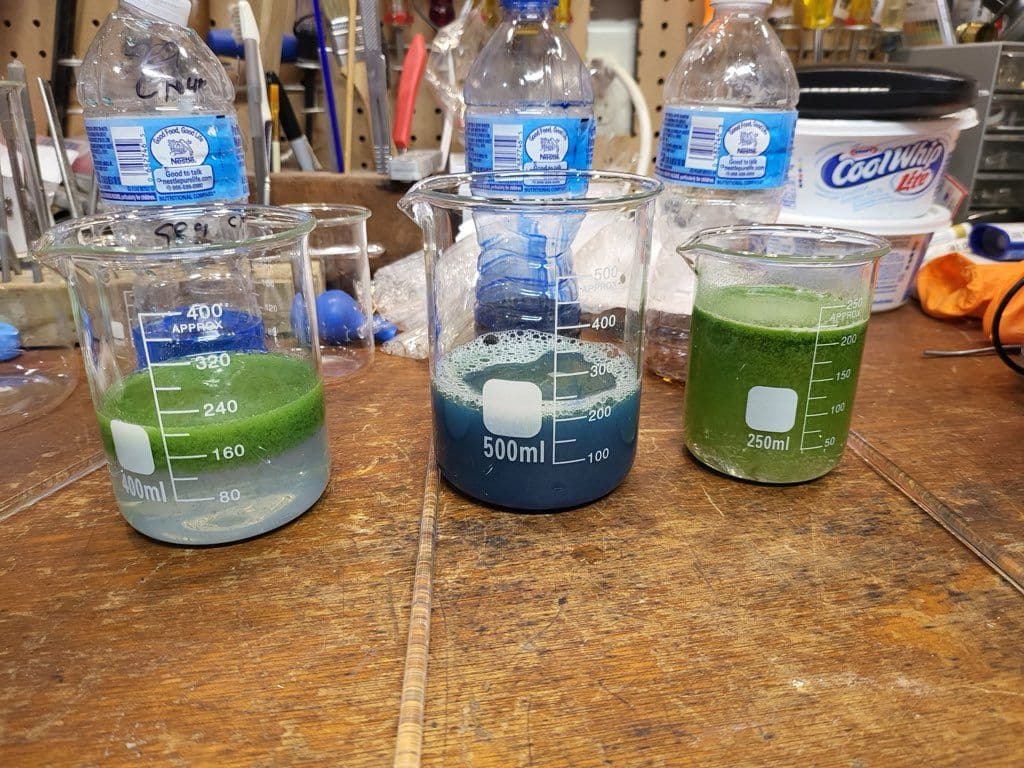 Gallery photos for Unveiling the Hidden Wonders in Your Pond: Image #2